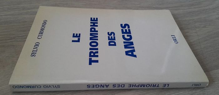 Sylvio curmondo le triomphe des anges - photo numéro 2