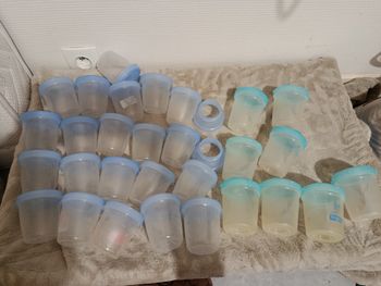 Lots de pots de conservation