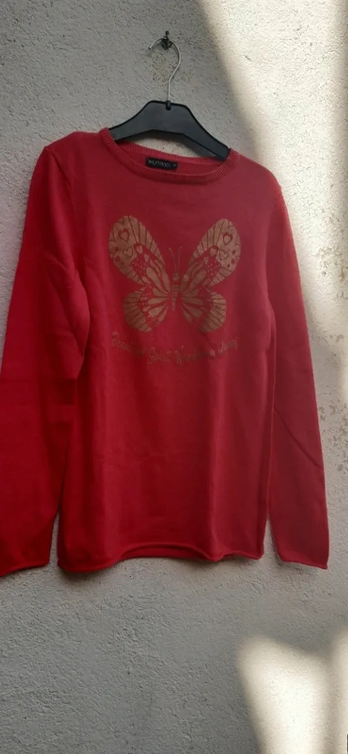 Robe ou pull long papillon manches longues 14 ans - photo numéro 5