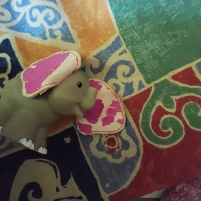 Éléphant - photo numéro 5
