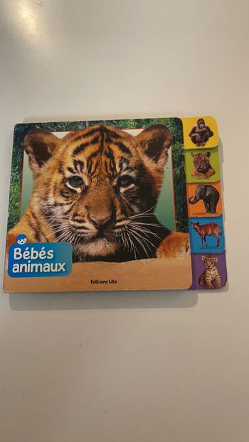 Livre cartonné « Bébés animaux »