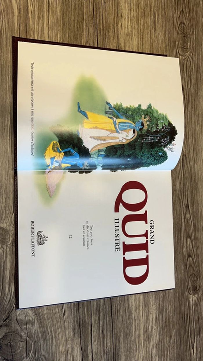 Grand quid illustré - 12