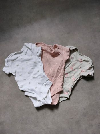 Lot 3 bodies manches courtes 6 mois