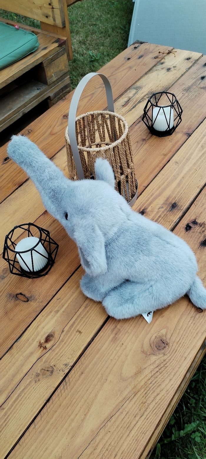 Peluche - photo numéro 2