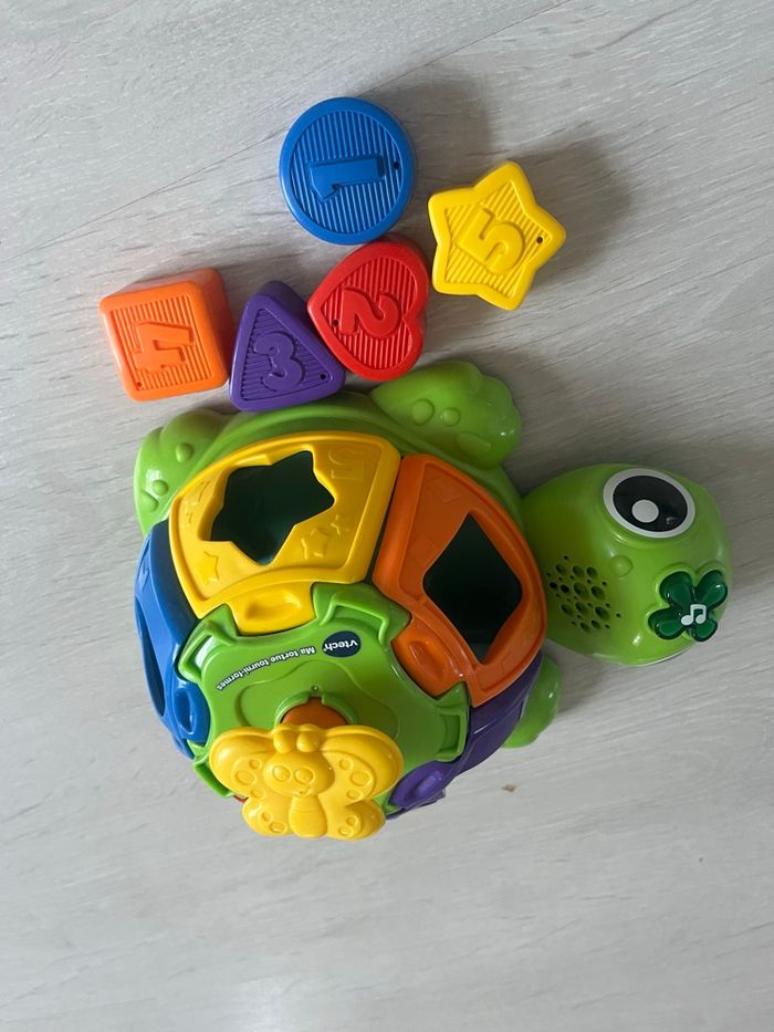Ma tortue tourni formes