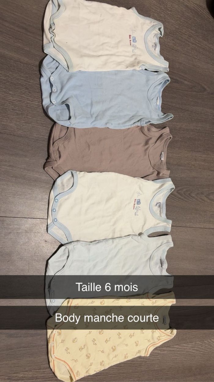 6 bodys manche court