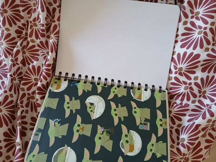Cahier - photo numéro 3