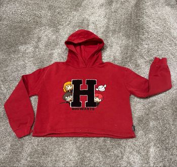 Sweat à capuche Harry Potter