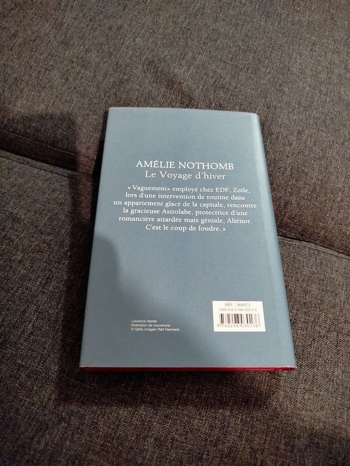 Le voyage d'hiver - photo numéro 2