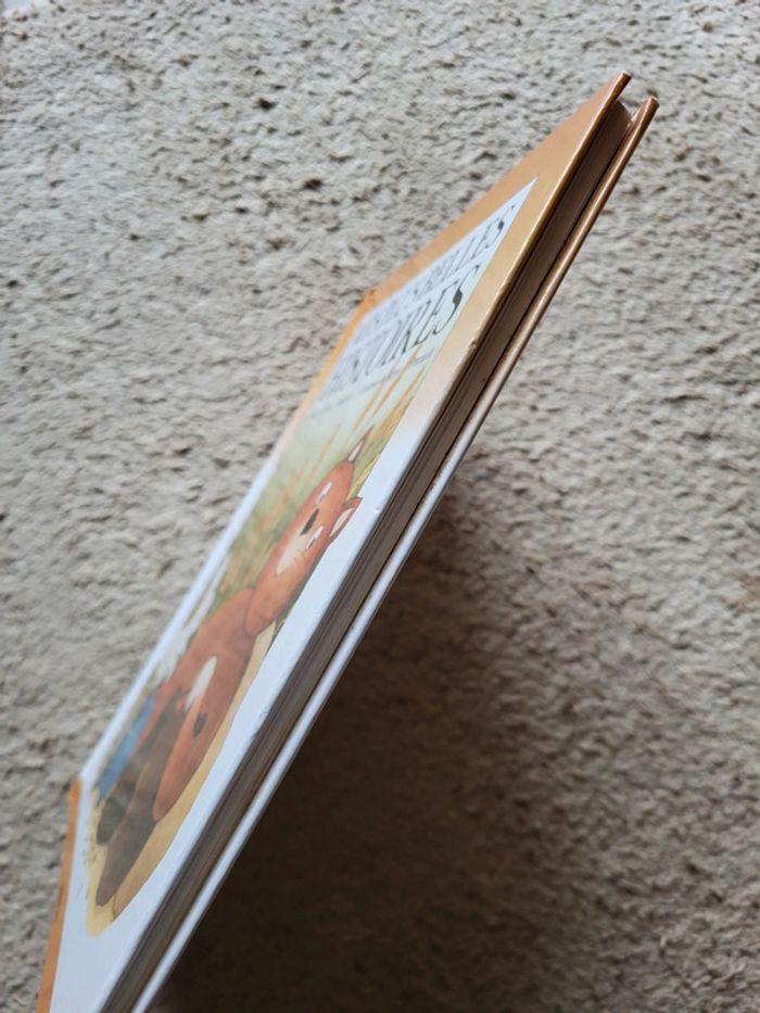 Livres de contes Mes plus belles histoires - photo numéro 3