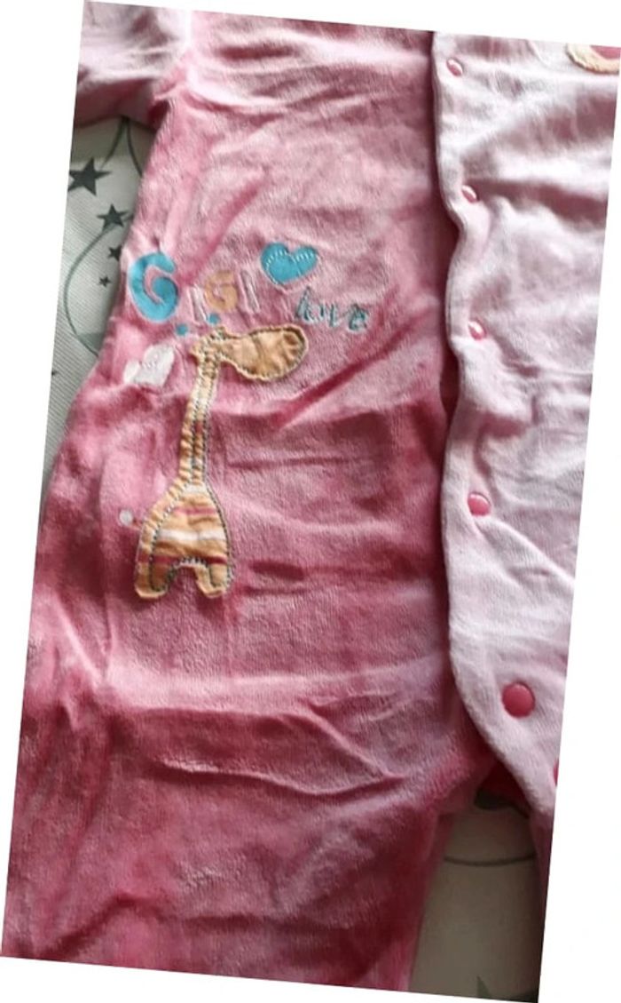 Grenouillere - photo numéro 2