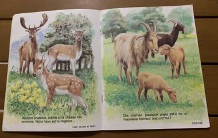 Amis d’ici et d’ailleurs - photo numéro 5