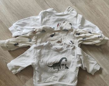 Pull et tee shirt 