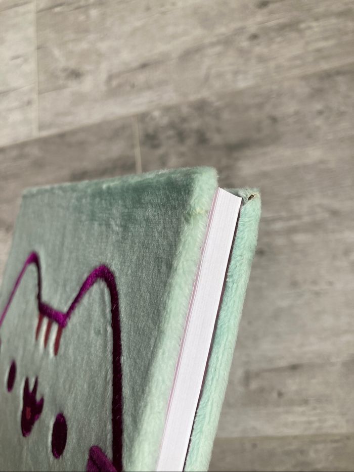 Carnet peluche Pusheen - photo numéro 7