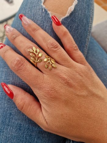 Bague ajustable acier