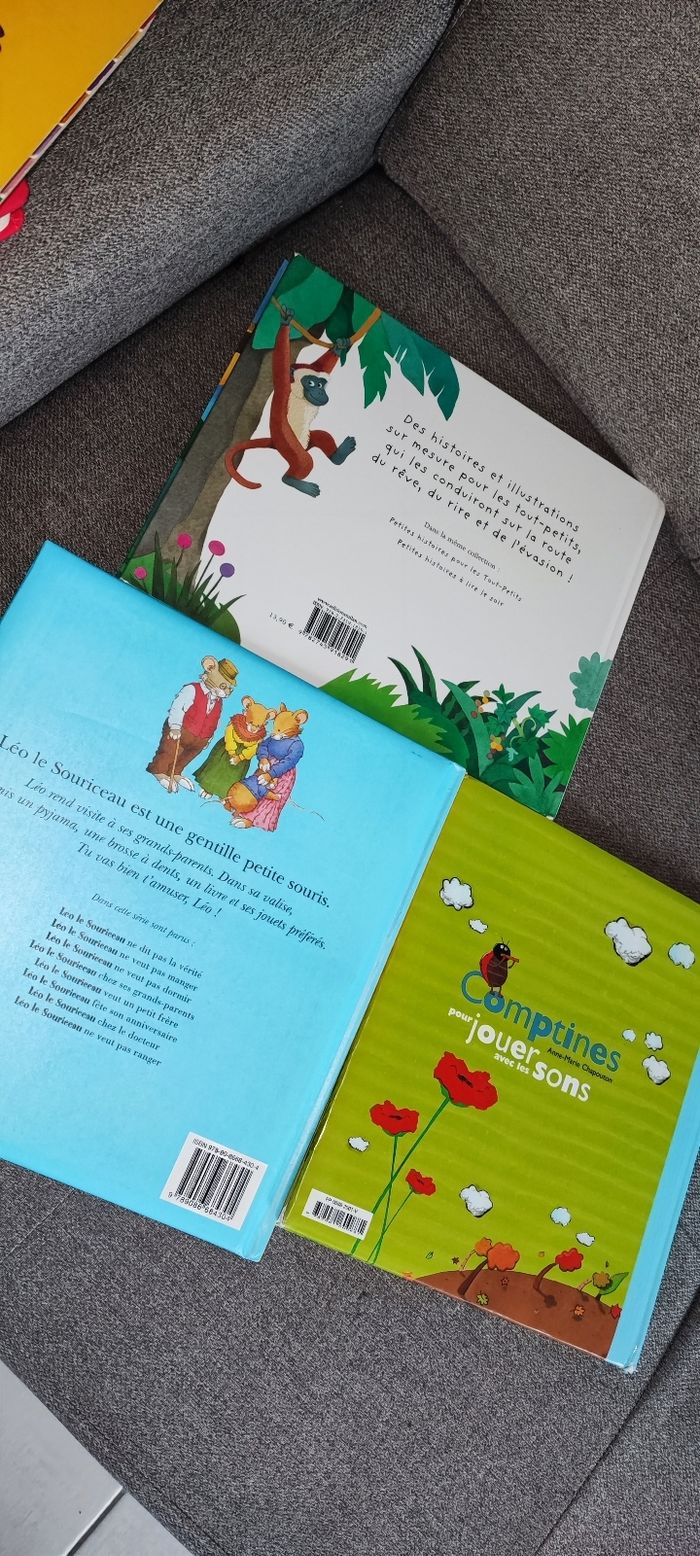 Livre - photo numéro 2