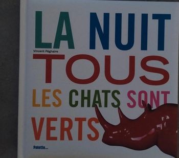 Livre La nuit tous les chats sont verts