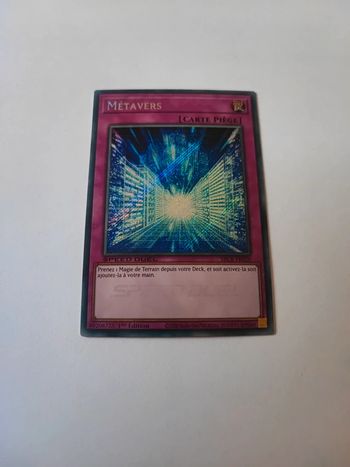 Carte Yu-Gi-Oh métavers metavers carte piège sbcb-fr020
