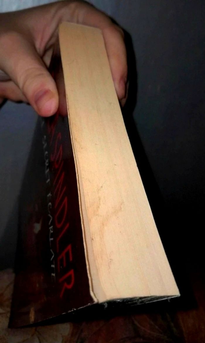 Le secret écarlate Erica Spindler - photo numéro 2