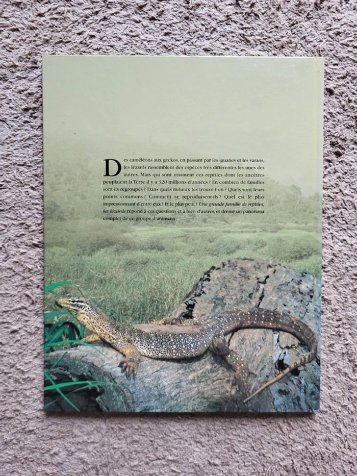 Livre documentaire enfant Une grande famille de reptiles, les lézards Atlas Junior des Animaux - photo numéro 2