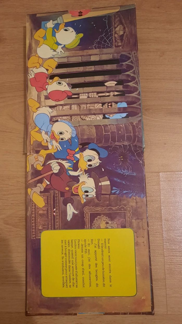 Donald et la maison hantée - photo numéro 3