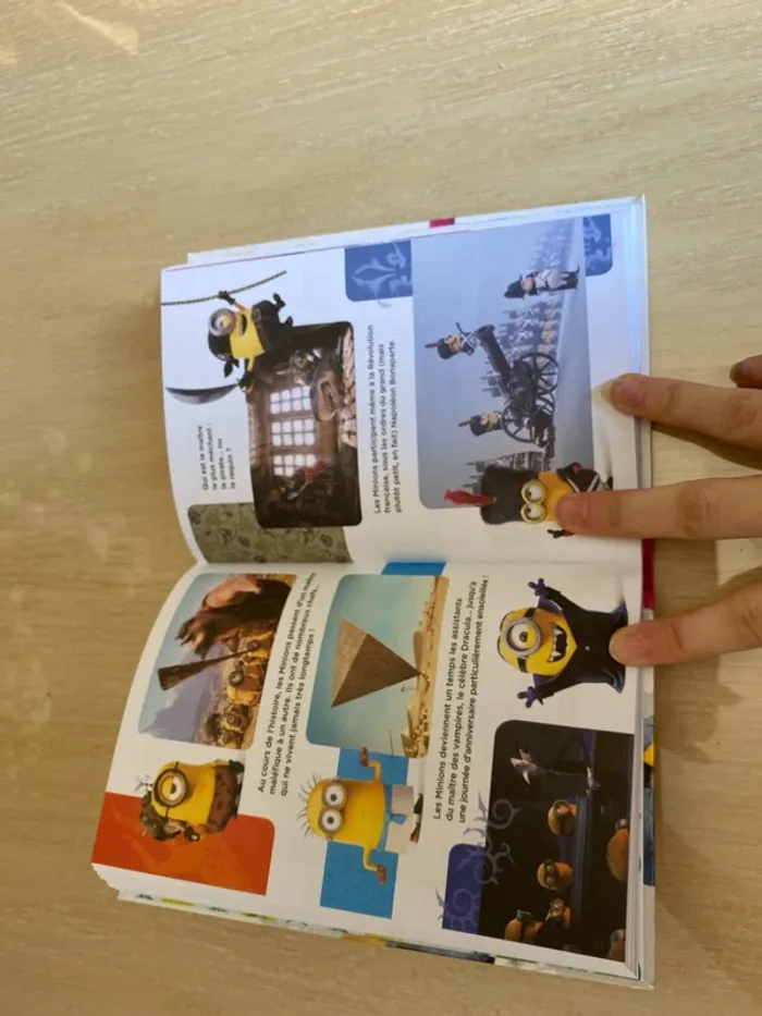 Livre minions - photo numéro 3