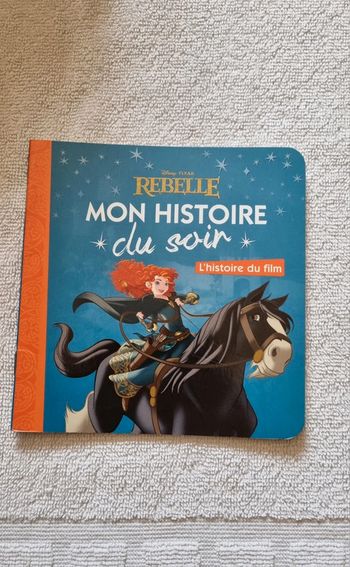 Livre mon histoire du soir rebelle