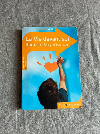 Livre de poche (la vie devant soi)