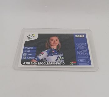 Panini Tour de France 2023 sticker N° 356.