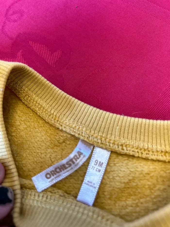 Sweat Orchestra bébé garçon - 9 mois - photo numéro 3