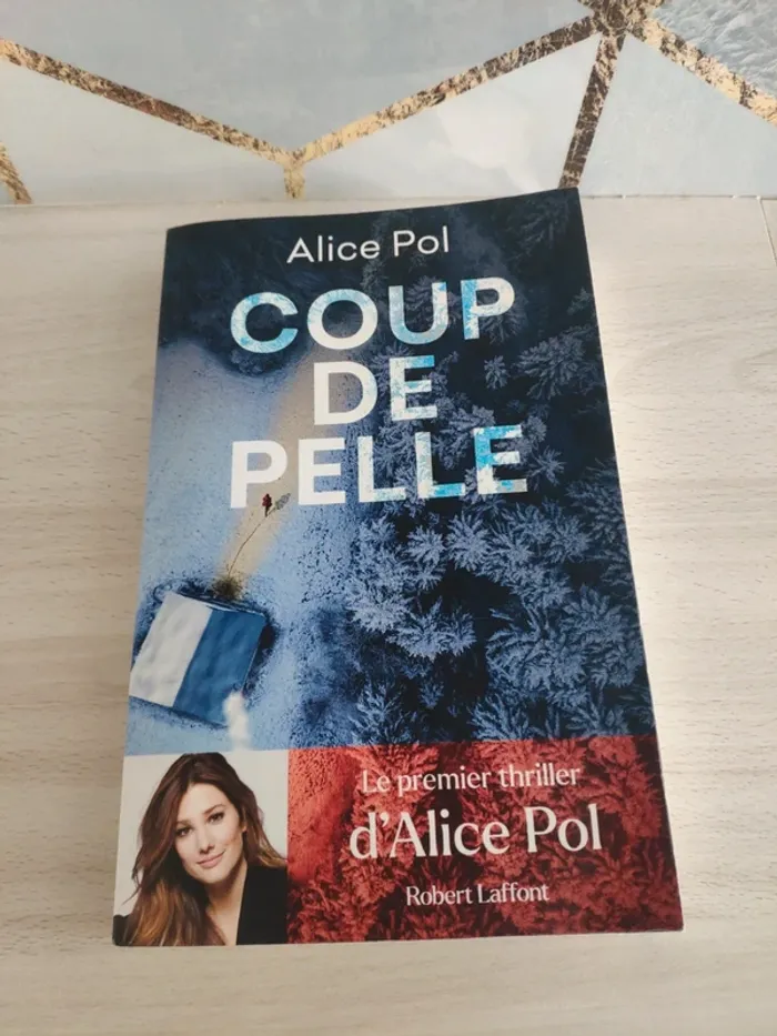 Livre grand format coup de pelle Alice Pol thriller