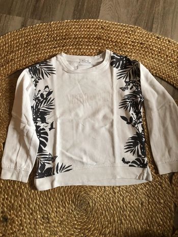 Pull Mango Kids