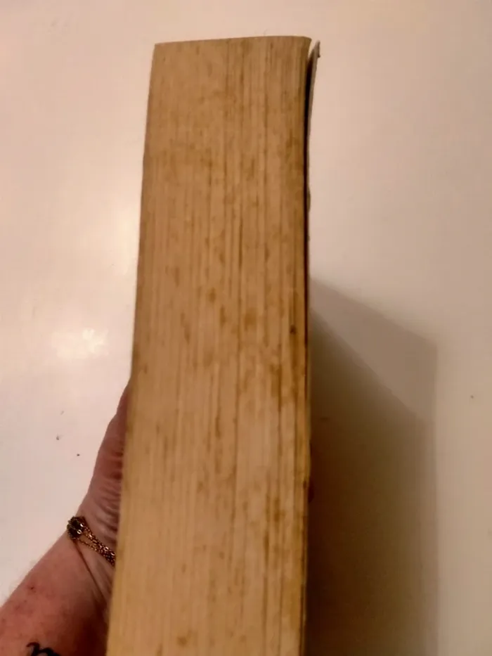 Livre after saison 3 - photo numéro 4