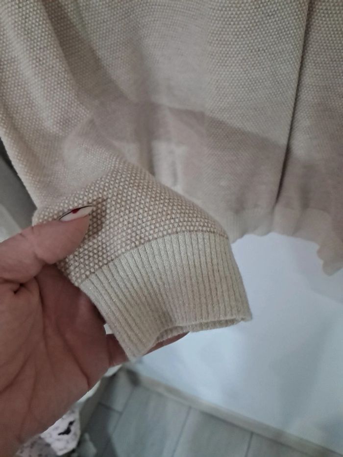 Magnifique pull - photo numéro 4