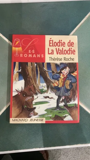 roman dès 10 ans