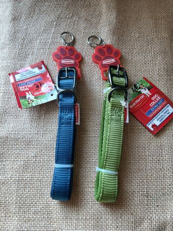 Lot de deux collier pour chien bleu et vert 