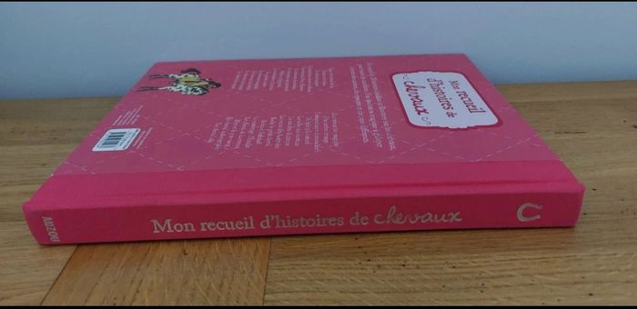Mon recueil d'histoires de cheveaux - Auzou - photo numéro 7