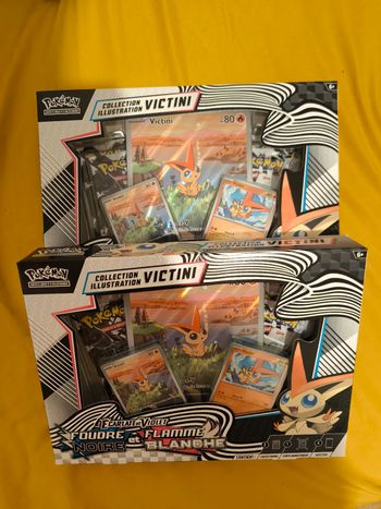 Coffret victini