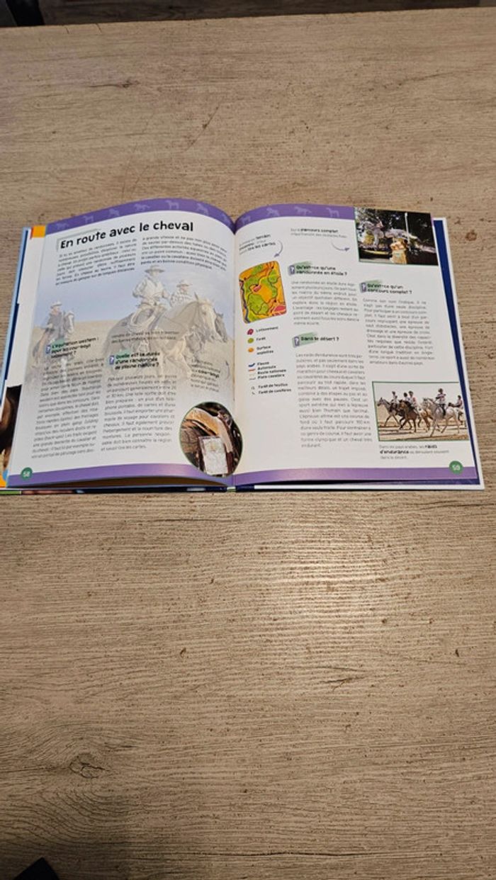 Livre illustré Les équidés, de A à Z, Clés du savoir, neuf - photo numéro 3