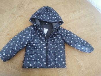 Veste