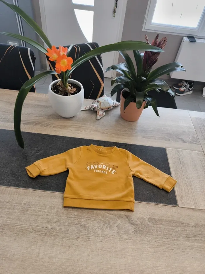 Sweat garçon 6 mois Kiabi