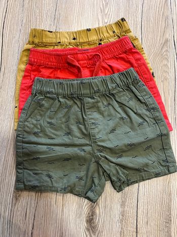 Lot de Shorts - 12 mois