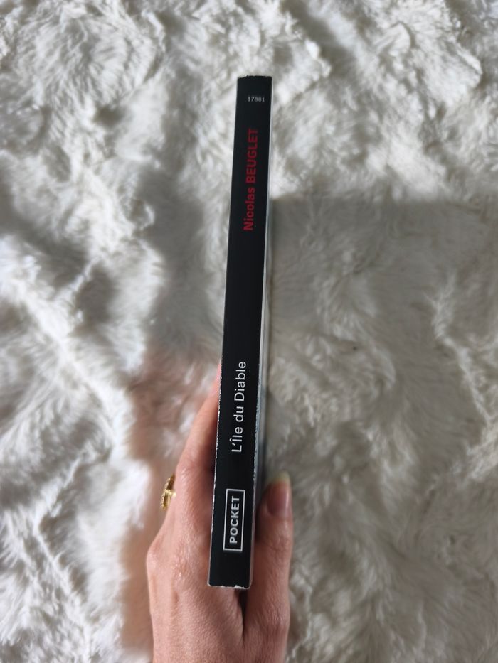 L'île du diable Nicolas Beuglet - photo numéro 2