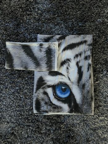 Housse de couette + taie IKEA