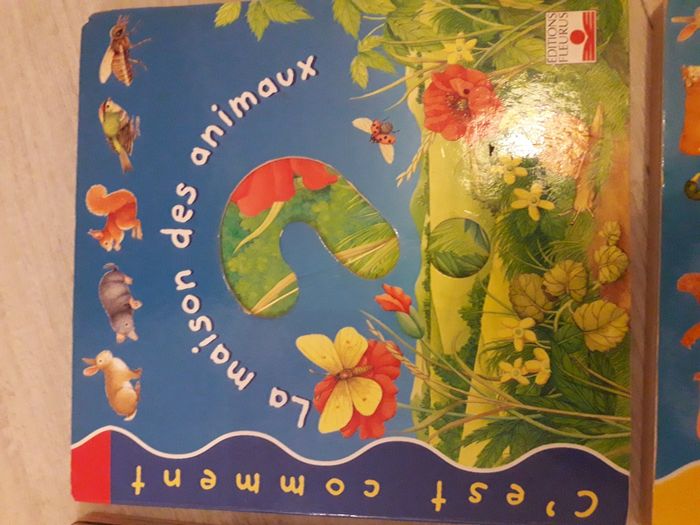 Livres à rabat "c'est comment ? " - photo numéro 5