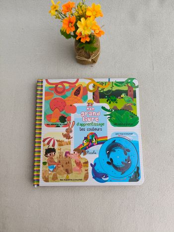 Mon grand livre d'apprentissage Piccolia