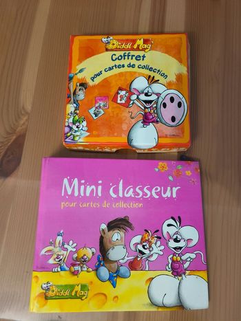 Classeur + boîtes + cartes diddl