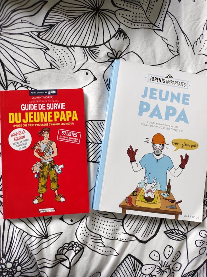 Lot livres guide de survie paternité