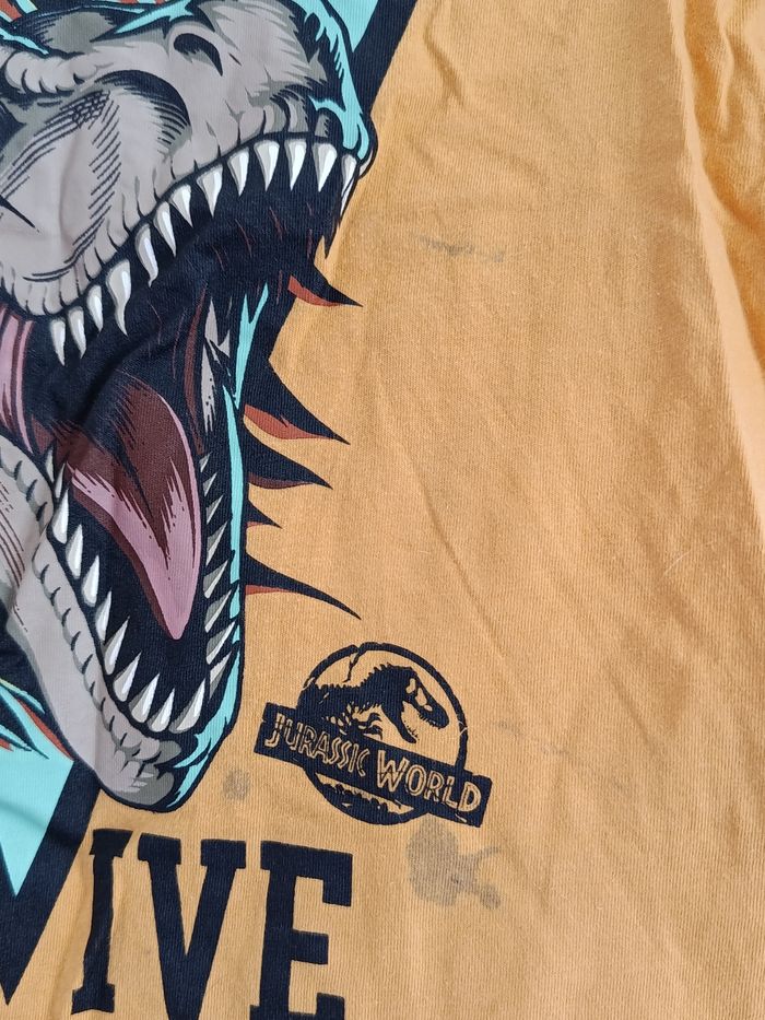 Tee-shirt dinosaure - photo numéro 3