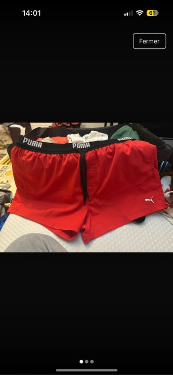 Short puma